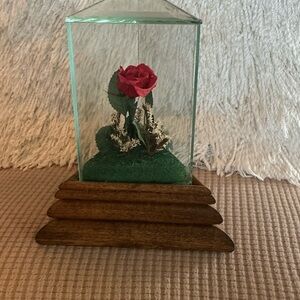 Red Rose Music Box in Glass Terrarium
